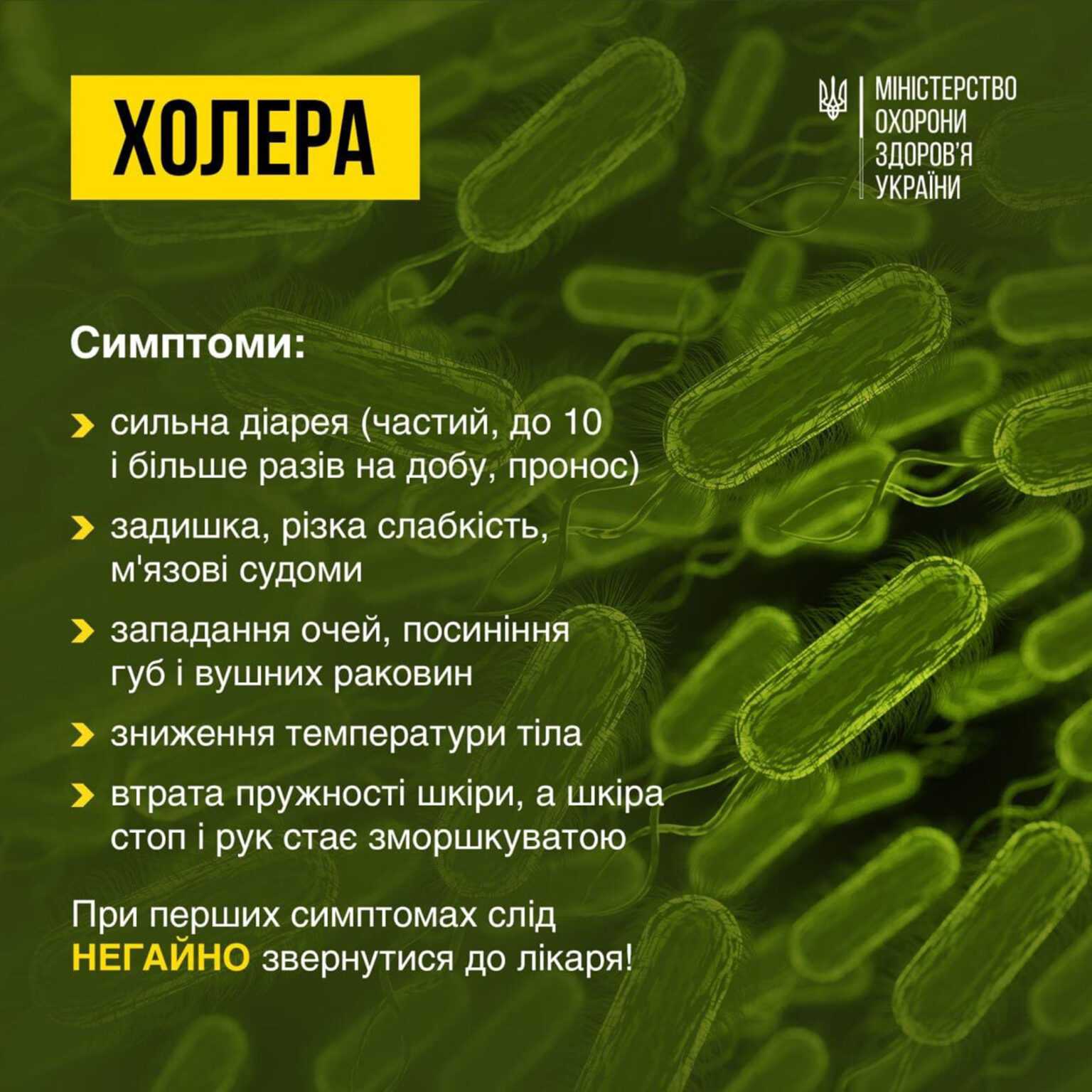 Захист від холери: чиста вода, гігієна та оперативна медична допомога